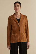 Load image into Gallery viewer, Cut Loose Frayed Stripe Fitted Blazer