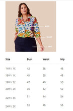 Load image into Gallery viewer, Foxcroft Crinkle Sammy 3/4 Sleeve Popover